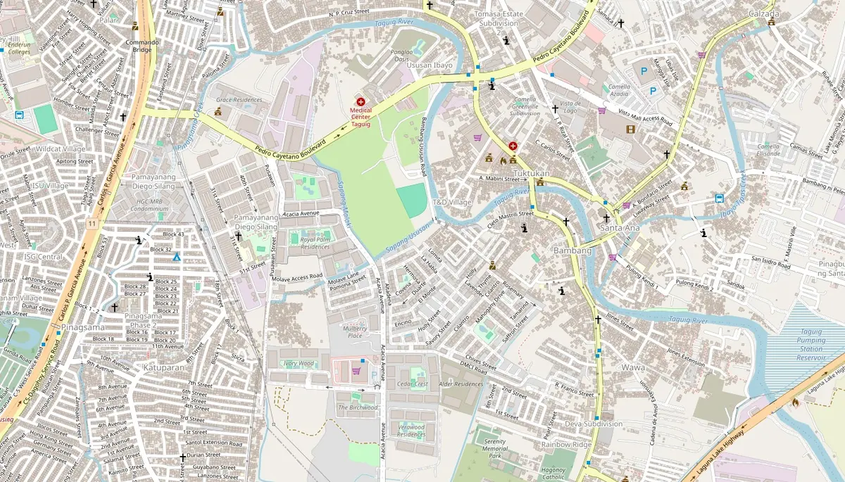 Location map of Cedar Crest in Acacia Estates, Brgy. Ususan, Taguig City, with Savemore Market, Taguig City Hall and Medical Center Taguig nearby, and SM Aura Premier, UP Bonifacio Global City, Taguig City Hospital and SM City Bicutan beyond the frame