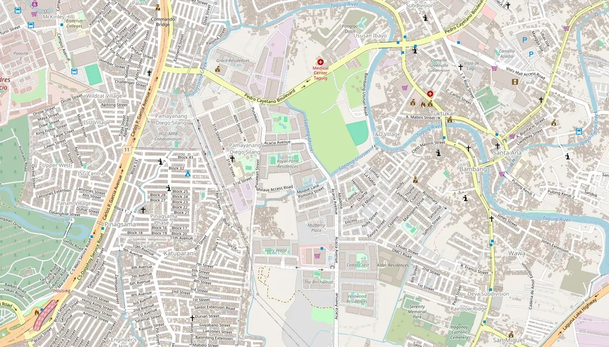 Location map of Maple Place at Molave Lane corner Acacia Avenue, Acacia Estates, Taguig City, with Savemore Market, Medical Center Taguig, Taguig City Hall and Puregold Taguig nearby